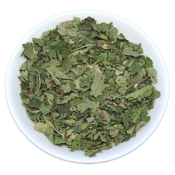 Pineta