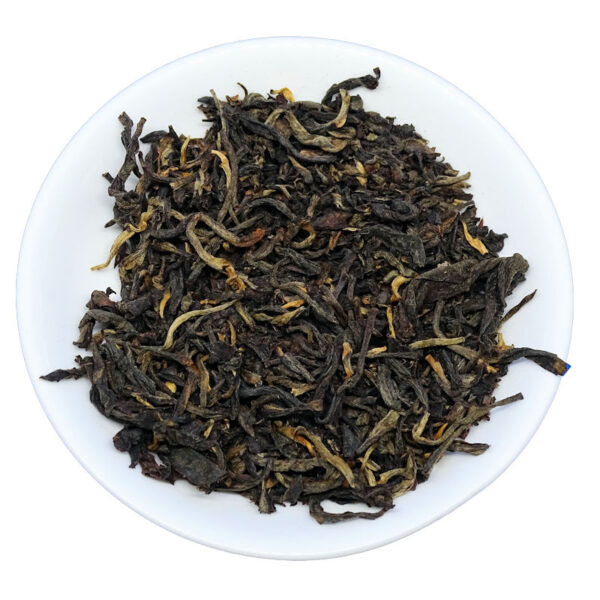 Yunnan Wild